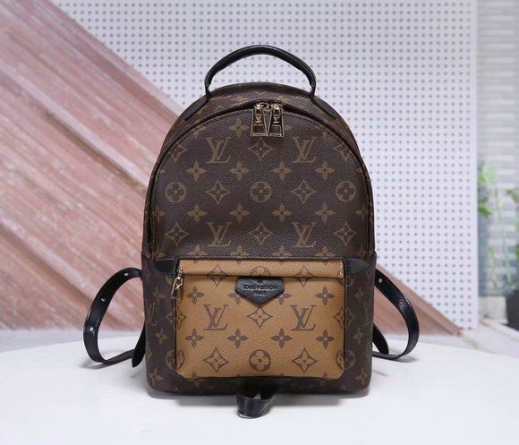 Wholesale Cheap AAA Louis Vuitton Replica Backpack for Sale