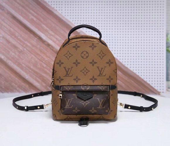 Wholesale Cheap AAA Louis Vuitton Replica Backpack for Sale