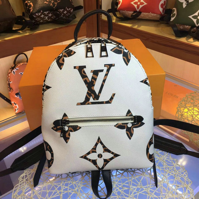 Wholesale Cheap Louis Vuitton AAA Backpack for sale