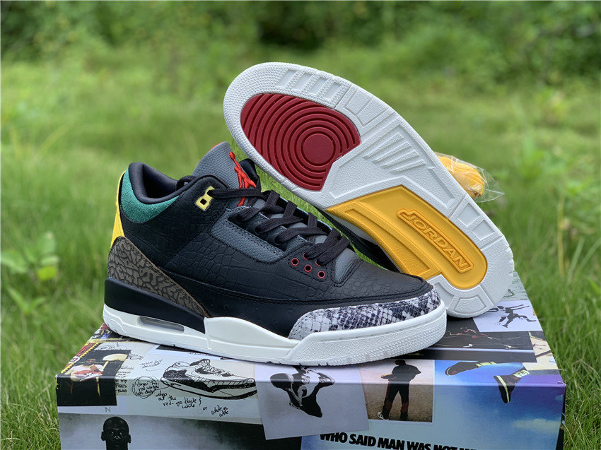 Air Jordan 3 SE Animal Instinct 2 CV3583-003