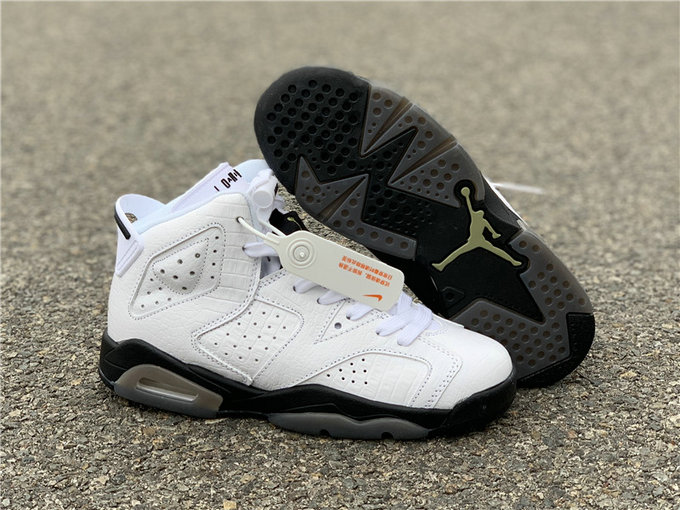 Air Jordan 6 GS “Alligator” 384665-110