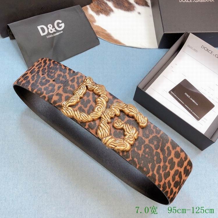 Wholesale Cheap AAA DG Designer Belts for Sale