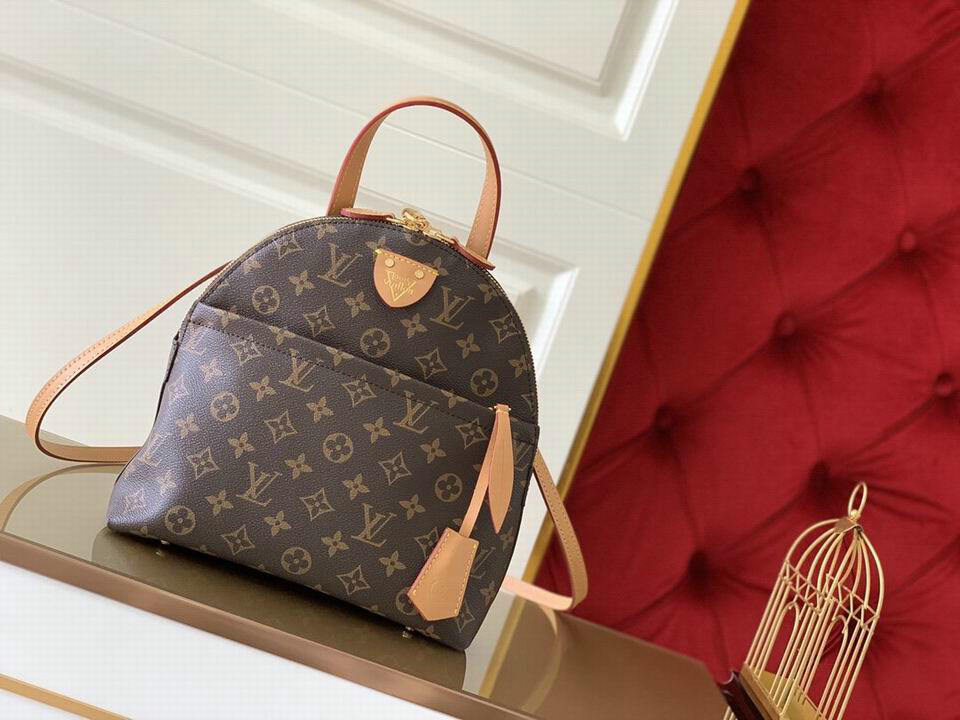 Wholesale Cheap Louis Vuitton Aaa Designer Backpacks for Sale