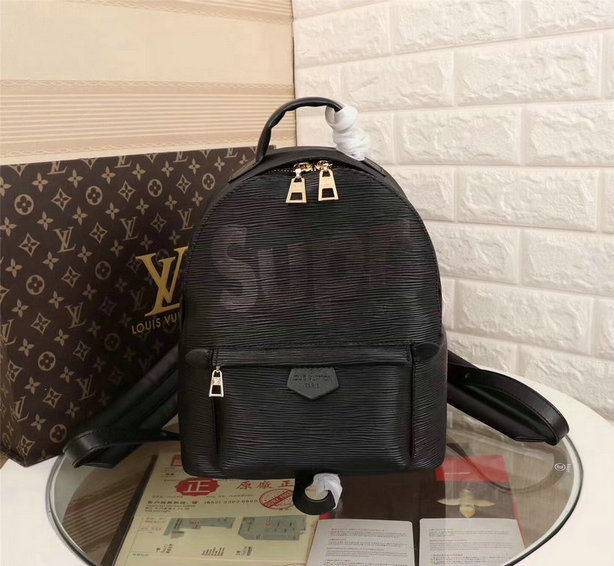 Wholesale Cheap AAA Louis Vuitton Replica Backpack Sale-127