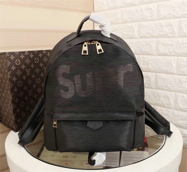 Wholesale Cheap AAA Louis Vuitton Replica Backpack Sale-129